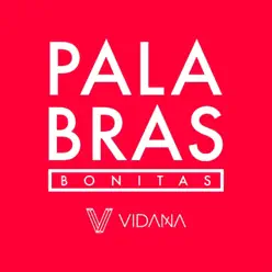 Palabras Bonitas - Single - Vidaña