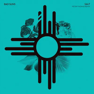Salt (Peter Thomas Remix) - Single - Bad Suns