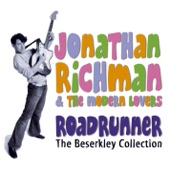 Jonathan Richman & The Modern Lovers - I'm a Little Airplane