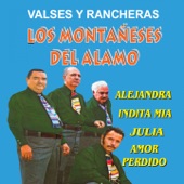 Los Montañeses Del Alamo - Ando en Busca
