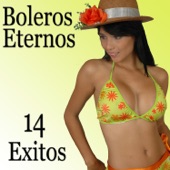 Boleros Eternos - 14 Éxitos artwork