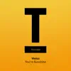 Stream & download You're Sunshine - Single