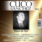 Disco de Oro Volumen 2 artwork