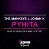 Stream & download Pyhita - Single