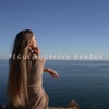 Tegul Sugriūva Dangus - Single