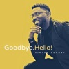 Goodbye Hello - Single