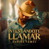 Intentándote Llamar - Single
