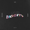 No Diggity - Single