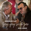 Igraj, Igraj Sve Do Zore (feat. Miroslav Ilic) - Single