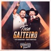 Toca Gaiteiro (Ao Vivo) - Single