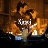 Njësoj - Single