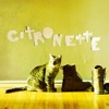 Citronette - Single