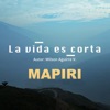 La vida es corta (Huayño minero) - Single
