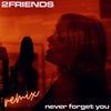 Never Forget You (Remix) - Single