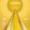 Raise the Vibration (Remixes) - Single