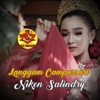 Niken Salindry - Klambi Anyar