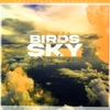 Birds In The Sky (Morgan Seatree Remix) - Single