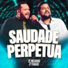 Saudade Perpétua - Single