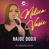 Hajde dodji (Cover) - Single