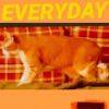 Everyday - Single