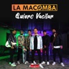 Quiero Vacilar - Single