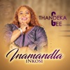 Inamandla Inkosi - Single