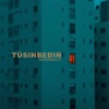 Túsіnbedіń - Single