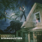 The Infamous Stringdusters - Hazosphere