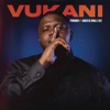 Vukani (feat. Kabza De Small & SLY) - Single