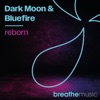 Reborn (Remixes) - Single