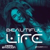 Beautiful Life - Single