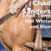 Small Town Red White and Blue - Single