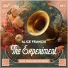 The Experiment (Duke Skellington Remix) - Single