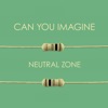 Can You Imagine - Single