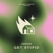 Joshua Dickens - Get Stupid