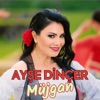 Müjgan - Single