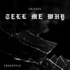 Tell Me Why (Freestyle) - Single