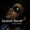 Apakah Benar - Single