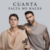 Cuanta Falta Me Haces - Single