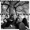 Knows Me Too Well - Single
