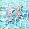 Aquatic - Single