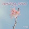 Roman Tee - Piano Concerto No.21 in C major, K.467: II. Andante (Pure Piano)