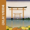 Calm Winds - Single