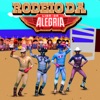 Rodeio da Liga da Alegria - Single