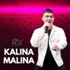 Kalina Malina - Single