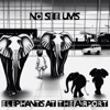 Elephants at the Airport