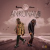 Amerado - Ankonam (Remix)