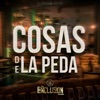 Cosas De La Peda - Single