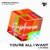 You’re All I Want (Ltn Remix) - Single