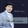 Vito Pellumbesha - Single